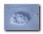 2005-02-25 (112) Footprints